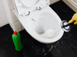 Как избавиться от запаха в туалете