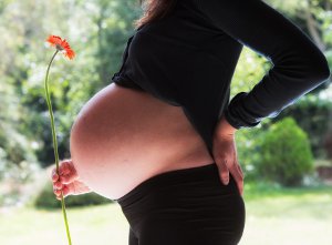 Какое выбрать масло от растяжек при беременности?